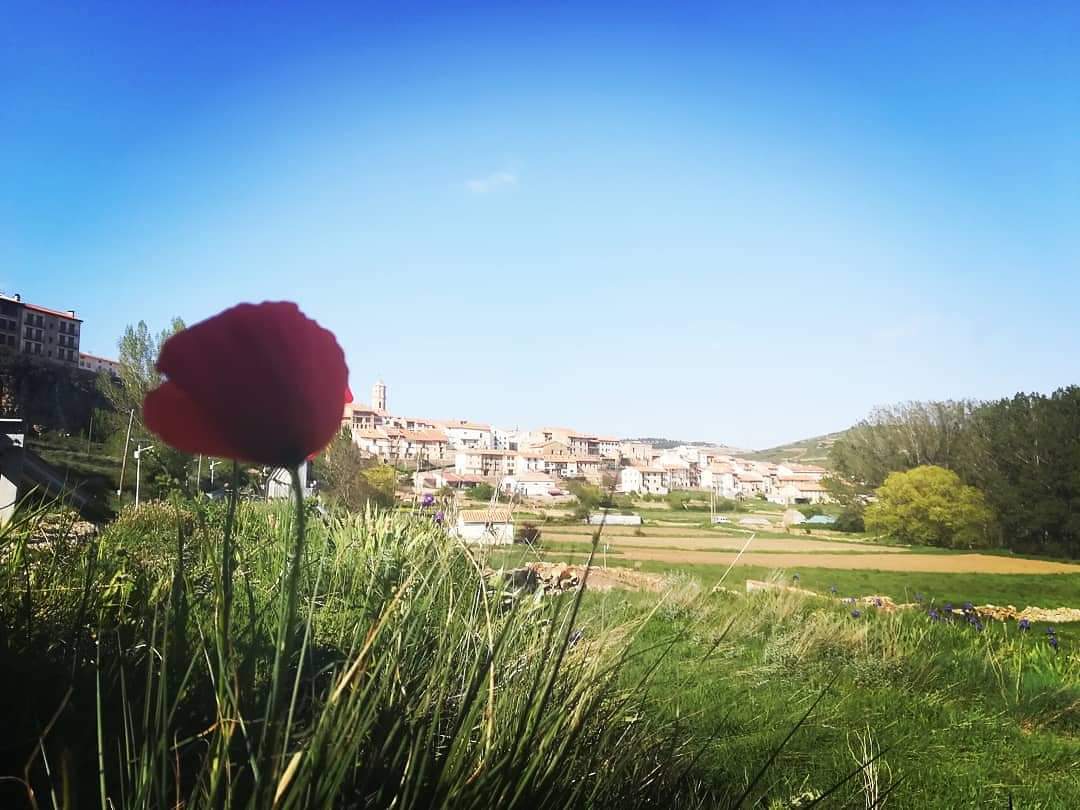 Mosqueruela