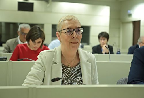 Villalba defiende en el Senado una propuesta para impulsar el pastoreo extensivo y la ganadería trashumante