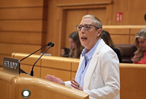 PP y Vox rechazan en el Senado la moción del PSOE para garantizar el acceso a los servicios públicos sin discriminación